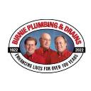 Birnie Plumbing and Drains logo